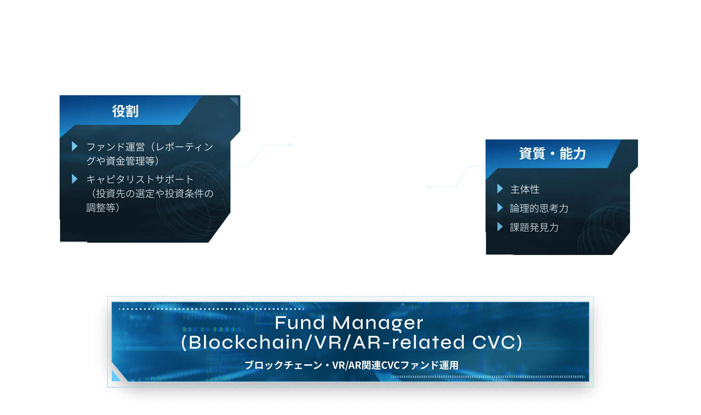 Fund Manager (Blockchain/VR/AR-related CVC)